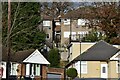 Houses in Cranleigh Close and Broom Mead