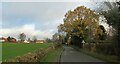 Lane into Askham.