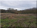 Looking over Elmbridge Brook from Jakeman