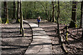 Path in Sherrardspark Wood