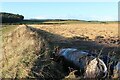 Fields at Cloddach