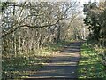 Derwent Path near White Byerside