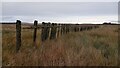 ND0855 : Remains of Timber Snow Drift Fence on the Moors near Scotscalder, Caithness, Great Britain by Andrew Tryon
