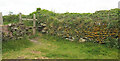 SW9477 : Cornish hedge, The Point by Derek Harper