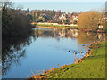 The Tweed at Kelso