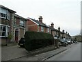 Hedge in Nightingale Road