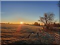 NY6423 : Frosty field with sunrise near Bolton by yorkshirelad