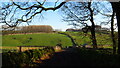 Path leading east from Tunstead village