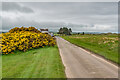 NU0445 : Lane through Goswick Golf Club course by Ian Capper