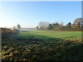 Crop field off Gale Hill (A1079)