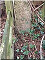 Benchmark on Gatepost Tregonning near Breage