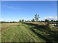 Stubble field by a roadway near Woodford Halse