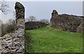 The ruins of Dolforwyn Castle