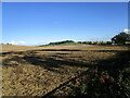 Harrowed field near Preston Fields Farm