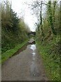 SW9673 : Camel Trail in cutting and bridge to Tregunna House by David Smith