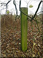 Southwold Railway fence post