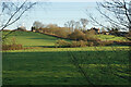 Fields below Inkersall Farm