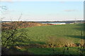 Fields near Inkersall Green