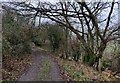 Track near Dolforwyn Castle