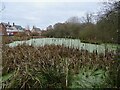 Hall Wood Pond