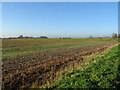 Field off Yapham Road