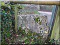 ST8795 : Stone Stile, Beverstone by Mr Red