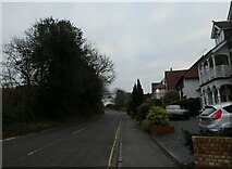 TQ0158 : Looking eastwards in Heathside Road by Basher Eyre