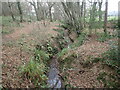 A tributary of the River Rother