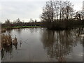 Pond at Bodiam Business Park