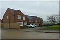 Houses on Whitebeam Grove