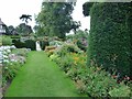 Grass path between the borders