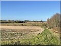 Farmland near Cowton House