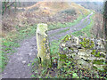 SO8209 : Stone Stile, Haresfield Beacon by Mr Red