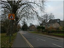 TQ0058 : Road sign in Heathside Road by Basher Eyre