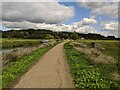 River Lea path just north of Fountain Drive