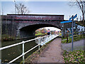 Bridgewater Canal, White