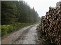 NT3129 : Log stack, Kirkhope Forest by Richard Webb