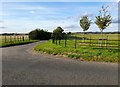 Farm track off Cuddington Road