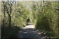 Bridleway, Hangdog Wood