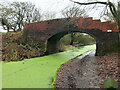 SD7706 : Manchester, Bolton and Bury Canal, Bridge#16 by David Dixon