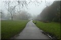 Path in the Valley Gardens