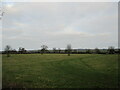 SK7522 : Grassland near Glebe Farm by Jonathan Thacker