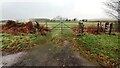 Field gateway from north side of road to Plumptonfoot near A6 junction