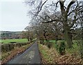 NZ0854 : Tree lined lane by Robert Graham