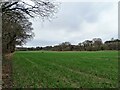 Long field beside the Derwent