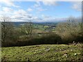 Field, hedge, and view beyond, north of Cobblers Plain, near Chepstow