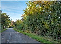 SP6617 : Wotton End, Ludgershall by David Howard