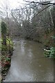 Oak Beck near Norwood Grove