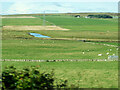 ND1462 : Farmland, Sordale by David Dixon