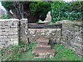 SO8403 : Stone Stile, Rodborough Common by Mr Red